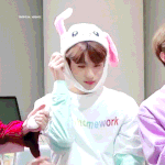 [NCT] 아니 진짜 에셈 뇌에 주름이 없나?