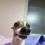 <b>이번</b><b>년</b>도에 감기 한번도 안걸림;;