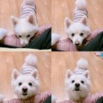 페미니스트라면서 지금 남혐은 당연한거 아냐? 라고 하는 친구 보면...