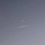 [조언부탁해] 안녕, 난 쓰레기야.