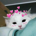 <b>블로그</b> 친구할사람 댓글에 아이디 주셔용