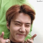 [EXO] 네캐 <b>존버</b>합니다