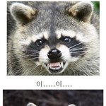 [<b>알파카</b>파카] 엉덩일 흔들어봐~