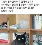 [드루와] 대학교 마치고도 5시에 알바 가는 거 씹가능?