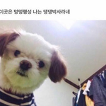 수시 추합 꿀팁? ( 복붙함)