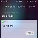 아니 시리 조카 <b>예의</b> 없음