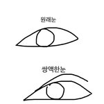 이런눈 <b>쌍액</b> 어떻게 해ㅜㅜ