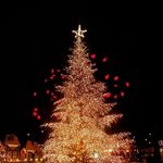 줄 꼬인거 잘 푸는 사람