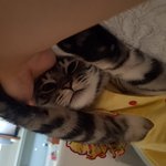 <b>느무</b> <b>느무</b> 이쁜우리 루키자랑좀 할께요 ^^