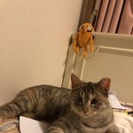 콩이 보고가세요..