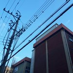 [댓글부탁해] 와;;;; <b>참새</b> 개많음 ㄷㄷ