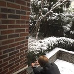 [댓글부탁해] 스카이<b>캐슬</b> 재밌어? 추반좀 ㅈㅂ