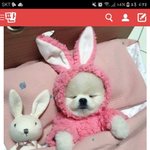 추반좀 해줘 ㅈㅂ 이쁜판녀분들..ㅠㅠㅠㅠㅠ