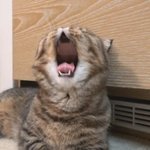 [드루와] 동그리안경 끼는애들아 ㅋㅋㅋㅋ 들어와조