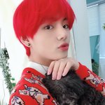 [방탄소년단] 태태랑 준이 트윗올라왔는데 우리