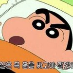 [조언부탁해] 좀 있으면 축제인데