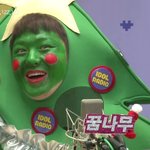 크리스마스 트리로 <b>분장</b>한 아이돌