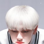 노<b>태현</b> 꽃게인형 짱귀여워