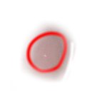 [EXO] 나 새1끼 쥰ㄴ나 주접킹이다 진짜...