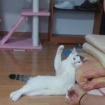 [댓글부탁해] 연락이 너무 귀찮아요