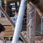 [EXO] <b>동물</b>한테 먹이주는 도경수 좀 봐