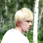 방탄 진 뭘 이렇게 묻히고 <b>다님</b>?