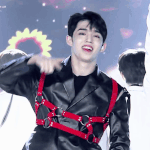 [세븐틴] 솔직히