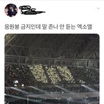 엑소엘 이번에 조금 너무하다