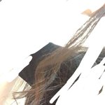 판고데기로 <b>봉고</b>덱처럼 하기