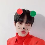 [이대휘] 귀요미 휘<b>돌프</b>