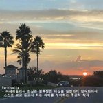 일상 속 <b>즐거움</b> '파레이돌리아'