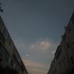 [추반] 맘스터치햄버거 / 맥날 <b>행운</b>버거