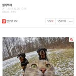 [<b>가스</b>라이팅] 사실인데 멀 미쳐