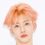 [NCT] 제발 나<b>재민</b> 사진 좀 줘