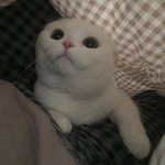 20대 보험 추천해주세요~