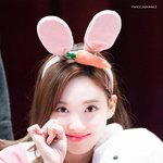 [댓글부탁해] 인간 토끼 <b>나연</b>