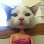 <b>몸짱</b>민지 보고싶넹
