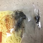 라면 사왔는데 곰팡이<b>핌</b>