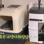 [댓글부탁해] ㅋㅋㅋ고양이 똥 치우는 에디랑 정준영 ㅋㅋㅋㅋㅋㅋㅋㅋ