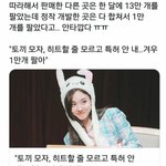 [댓글부탁해] 토끼<b>모자</b> 개발사 근황
