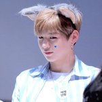 [강다니엘] 너네많이가니....?