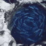 스킨스쿠버가 찍은 신비한 해저 <b>동굴</b>.gif