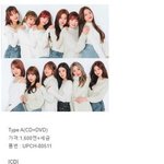 [댓글부탁해] 아이즈원 일본 데뷔앨범 16종류로 발매<b>예정</b>
