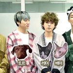 위너네 <b>댕댕이들</b> 근황ㅋㅋㅋㅋㅋㅋㅋㅋㅋㅋㅋㅋㅋㅋㅋ