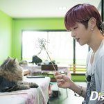 [강다니엘] <b>사와</b>디캅! 녤집사 강다니엘ㅋㅋㅋ