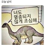 파마 <b>체인점</b>에서 하는게 낳아?