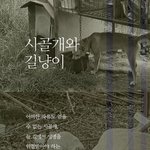 묶여서, 길에서 생활하고 있는 <b>시</b>골개와 길냥<b>이</b>를 위해
