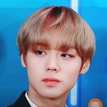 [댓글부탁해] 박지훈 레카 <b>도랏</b>어