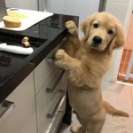 얘들아 나 핸드폰 화면이 안켜지거든?