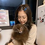[댓글부탁해] 제니랑 제니의 반려견 <b>쿠마</b> 봐봐